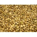 Hemp Seed 12.5kg Johnston and Jeff