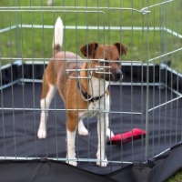 Henry Wag 6-Sided Wire Pet Play Pen with Base 76 x 63cm