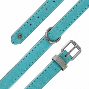 Sotnos Brights Aquatech Teal Collar Small