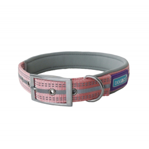 Large Pink Double Reflective & Padded Nylon Buckle Collar 1” X 18-22” (45-55cm)  Hem & Boo