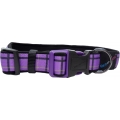 Hem And Boo Purple Check 3/4" X 10-14" Padded Adjustable Collar Purple