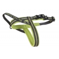 Reflective & Lite up Harness