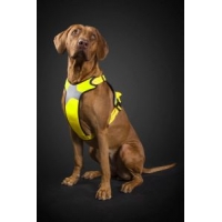 Hurtta Lifeguard Dazzle Harness Yellow 100 - 120Cm