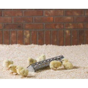 Rose Chick Trough Feeder 38 x 8 x 6.5cm