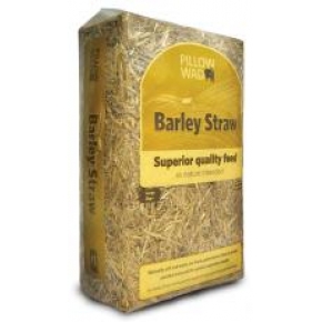 Pillow Wad Barley Straw Large 2kg