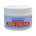 Bloomings MSM cream 100g