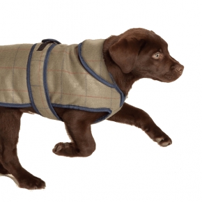 Danish Design Tweed Dog Coat Chest Protected 55cm 22"