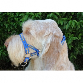 Dogmatic Head Collar Size 1 Blue