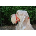 Dogmatic Head Collar Size 4 Red