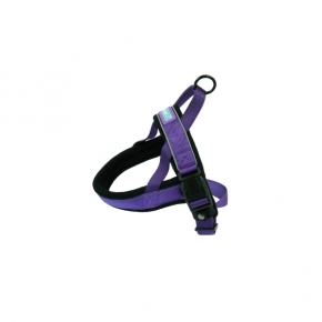 Hem & Boo Reflective & Padded Nylon Harness 1” X Chest 22” - 26” (2.5 X 55-65cm) Large Purple