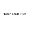 Frozen LARGE Mice