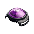 Orbiloc Dog Safety Light Purple