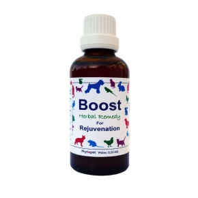 Phytopet Boost For Rejuvenation 30ml