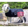 Cosipet Royal Stewart Kilt 41cm - 16" Cosi-Kilt Dog Coat