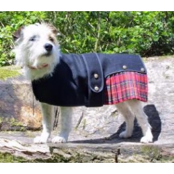 Cosipet Royal Stewart Kilt 41cm - 16" Cosi-Kilt Dog Coat