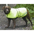 Cosipet Safety Dog Coat Yellow 22"