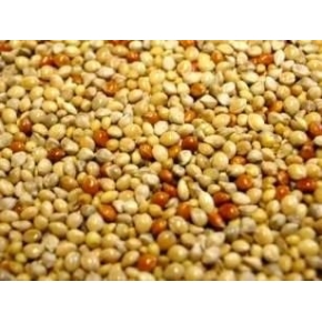 Mixed Millet seed 20kg Johnston and Jeff