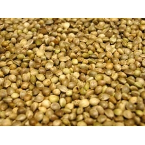 Hemp Seed 500g packed by Pets Pantry Johnston and Jeff