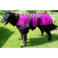 24" - 60cm Dog Coats