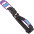 Dog & Co Black Adjustable Collar 1/2 Inch X 10 Inch - 14 Inch 1.2 X 25 - 35cm Hem & Boo