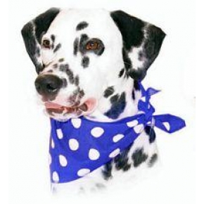 Cosipet Blue Polka Dot Bandana For Dogs