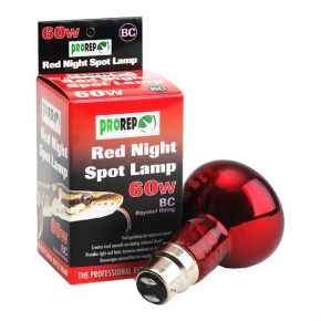 Pro Rep Red Night Spot Bayonet Fitting 60watt